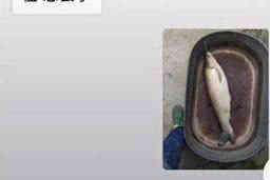 营山如果欠债的人消失了怎么查找，专业讨债公司的找人方法